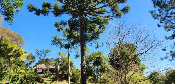 Fazenda / Sítio / Chácara com 3 Quartos à venda, 336m² no Alphaville Graciosa, Pinhais