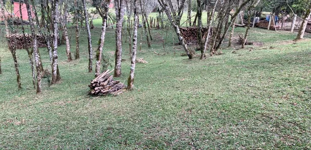 Galpão / Depósito / Armazém com 1 Quarto à venda, 3186m² no Centro, Campo Magro