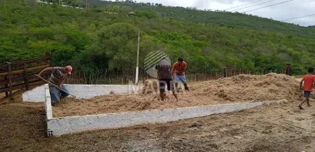 Fazenda / Sítio / Chácara à venda, 76600m² no Divinópolis, Caruaru