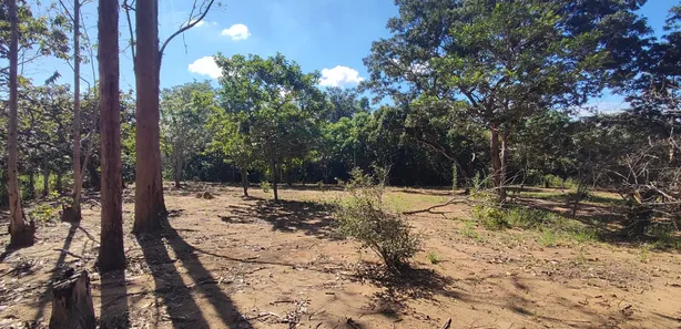 Fazenda / Sítio / Chácara com 1 Quarto à venda, 10000m² no Chácaras Ipanema, Valparaíso de Goiás