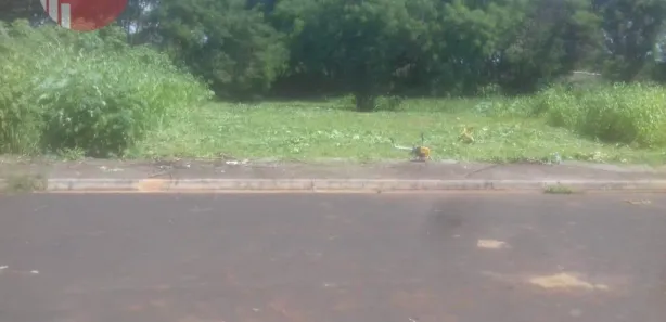 Terreno / Lote / Condomínio para venda ou aluguel, 6000m² no Campos Elíseos, Ribeirão Preto
