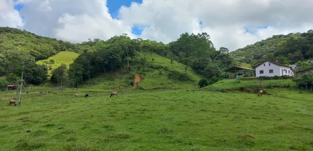 Terreno / Lote / Condomínio à venda, 11000m² no , Águas Mornas