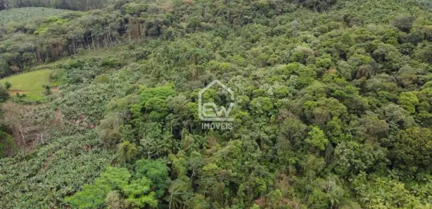 Fazenda / Sítio / Chácara com 1 Quarto à venda, 20000m² no , Massaranduba
