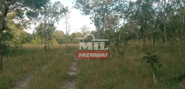 Fazenda / Sítio / Chácara à venda, 500m² no , Guaraí