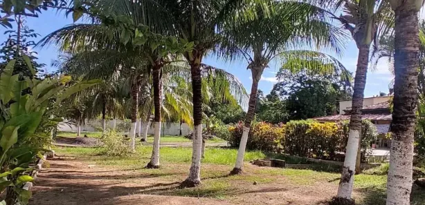 Terreno / Lote / Condomínio à venda, 150m² no Loteamento Bosque Ponta da Areia, Itaparica