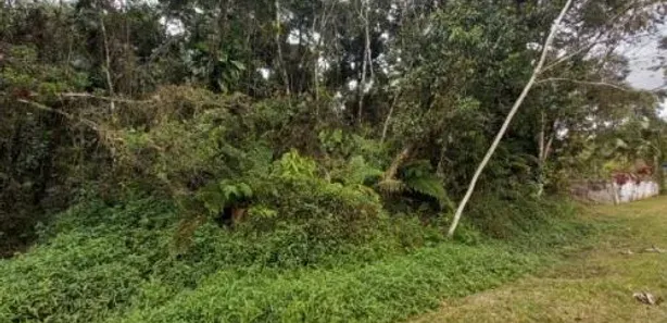 Fazenda / Sítio / Chácara à venda, 2542m² no Gaivota, Itanhaém