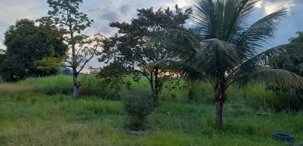 Fazenda / Sítio / Chácara com 3 Quartos à venda, 200m² no Ipiranga, Nova Iguaçu