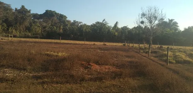 Fazenda / Sítio / Chácara com 3 Quartos à venda, 450000m² no Arapoanga, Brasília