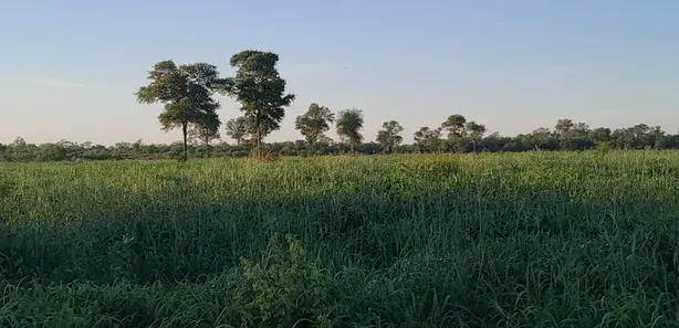 Fazenda / Sítio / Chácara à venda, 188900000m² no , Porto Murtinho