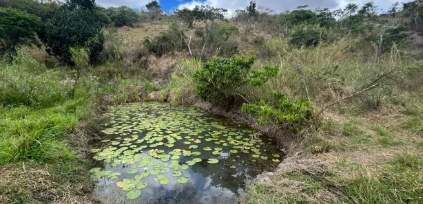 Fazenda / Sítio / Chácara com 2 Quartos à venda, 20000m² no , Sairé