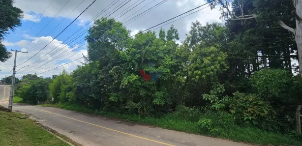 Fazenda / Sítio / Chácara com 1 Quarto à venda, 11000m² no São Miguel, Almirante Tamandaré
