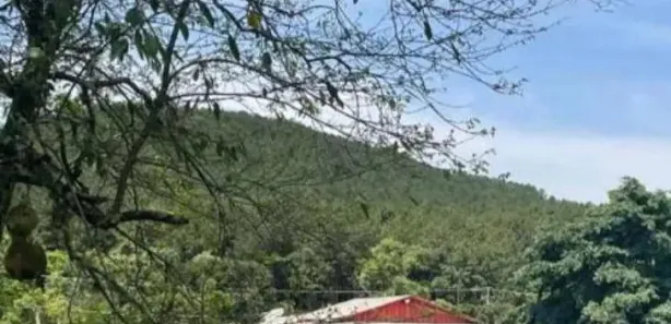 Fazenda / Sítio / Chácara com 4 Quartos à venda, 36300m² no , Guaraniaçu