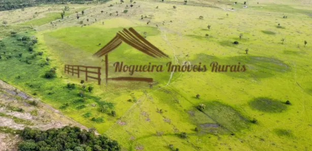 Fazenda / Sítio / Chácara à venda, 1m² no , Formoso do Araguaia