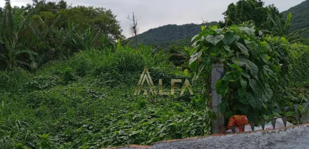 Terreno / Lote / Condomínio à venda, 2172m² no Gravatá, Penha