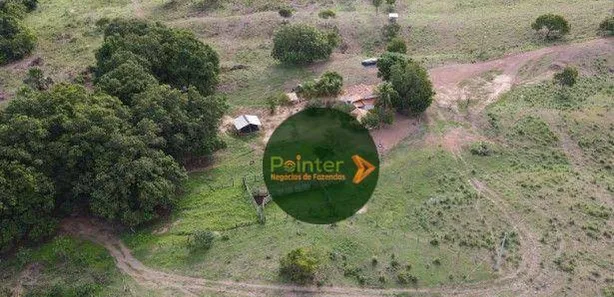 Fazenda / Sítio / Chácara à venda, 4927725m² no , Pium
