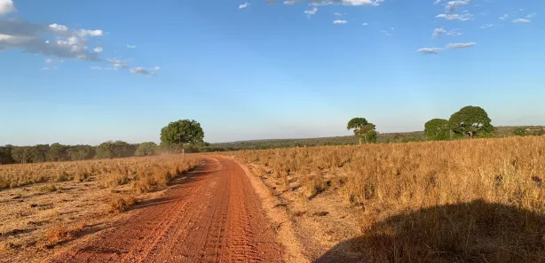 Fazenda / Sítio / Chácara com 5 Quartos à venda, 407m² no Área Rural de Gurupi, Gurupi