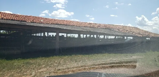 Fazenda / Sítio / Chácara com 4 Quartos à venda, 300000m² no , Itapecuru Mirim