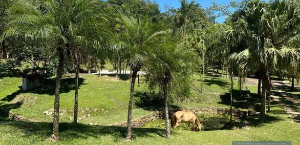 Fazenda / Sítio / Chácara com 10 Quartos à venda, 1600m² no Maraporã, Cachoeiras de Macacu