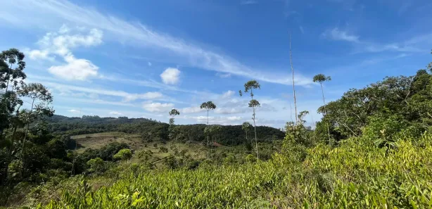 Fazenda / Sítio / Chácara à venda, 11000m² no Massaranduba, Massaranduba
