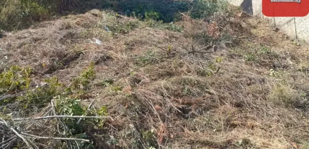 Terreno / Lote / Condomínio à venda, 360m² no São Damião, Vespasiano