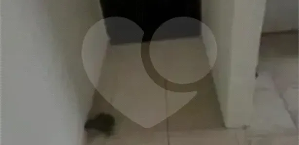 Casa com 5 Quartos à venda, 125m² no Conjunto Habitacional São José, Campo Limpo Paulista