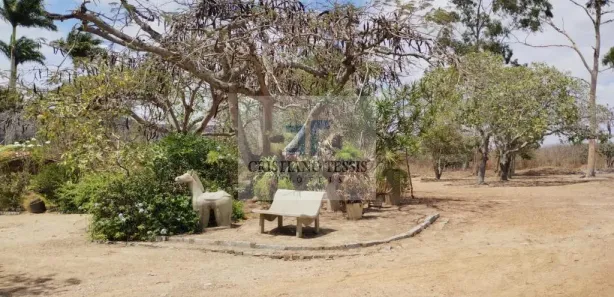 Fazenda / Sítio / Chácara com 6 Quartos à venda, 296000m² no Centro, Gravatá