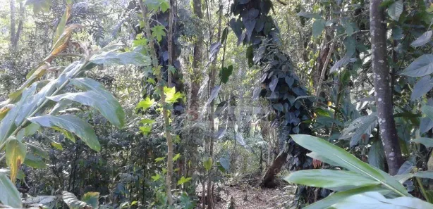 Terreno / Lote / Condomínio à venda, 10m² no Parque Rio Grande, Rio Grande da Serra