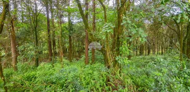 Terreno / Lote / Condomínio à venda, 4545m² no Colonia Santa Gabriela, Almirante Tamandaré