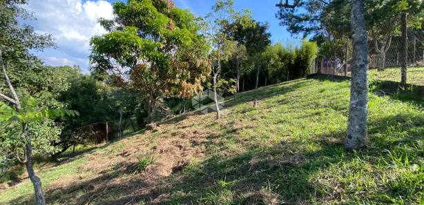 Fazenda / Sítio / Chácara à venda, 222m² no São Vicente, Mairiporã