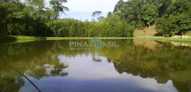 Fazenda / Sítio / Chácara à venda, 90m² no São Gabriel, Colombo