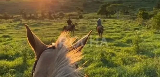 Fazenda / Sítio / Chácara com 5 Quartos à venda, 225000m² no Área Rural de Caruaru, Caruaru