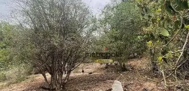 Fazenda / Sítio / Chácara com 6 Quartos à venda, 27000m² no Chácara São Benedito, Capivari