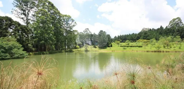Fazenda / Sítio / Chácara com 15 Quartos à venda, 1200m² no Vila Darcy Penteado (Mailasqui), São Roque