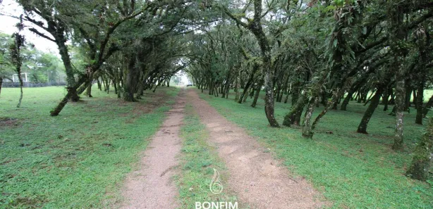 Fazenda / Sítio / Chácara à venda, 86000m² no Cachoeira de São José, São José dos Pinhais