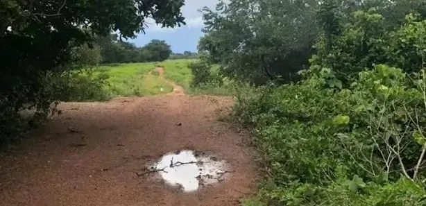 Fazenda / Sítio / Chácara com 1 Quarto à venda, 1880m² no Setor Central, Formoso do Araguaia