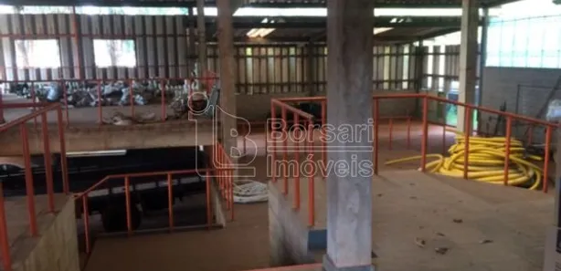 Galpão / Depósito / Armazém à venda, 300m² no Jardim Ártico, Araraquara