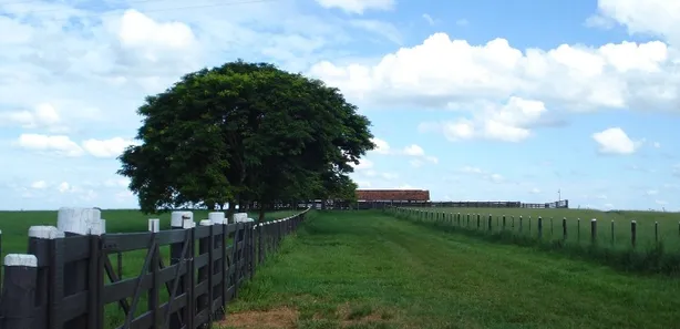 Fazenda / Sítio / Chácara com 3 Quartos à venda, 75m² no , Pompéia