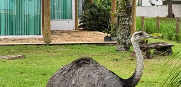 Casa de Condomínio com 3 Quartos à venda, 450m² no Bessa, Conceição do Jacuípe