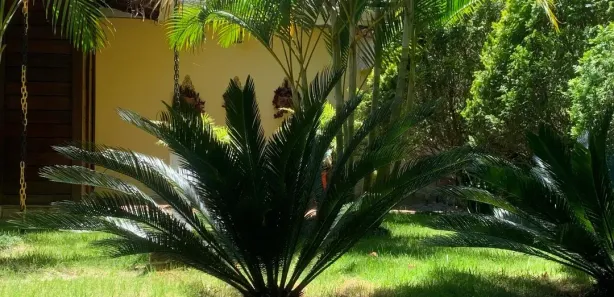 Apartamento com 4 Quartos à venda, 492m² no Fazenda da Ilha, Embu-Guaçu