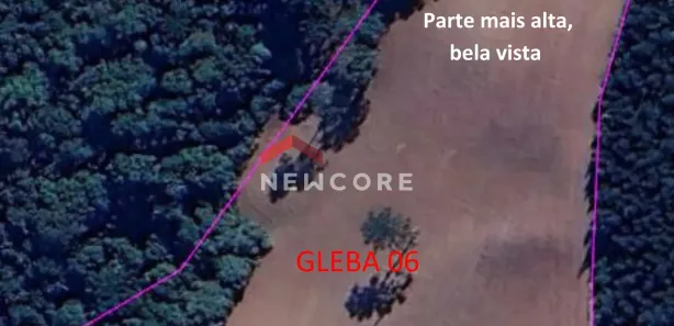 Terreno / Lote / Condomínio com 1 Quarto à venda, 20850m² no , Campo Largo