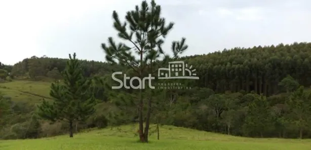 Fazenda / Sítio / Chácara com 5 Quartos à venda, 200m² no , Pilar do Sul