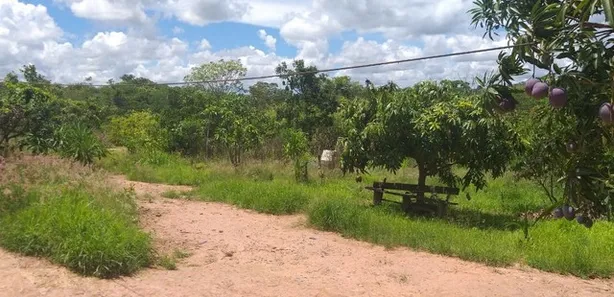 Fazenda / Sítio / Chácara com 2 Quartos à venda, 20000m² no , Brasília