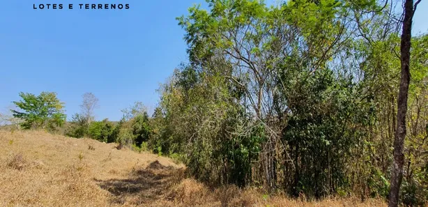 Terreno / Lote / Condomínio à venda, 20000m² no , Fortuna de Minas