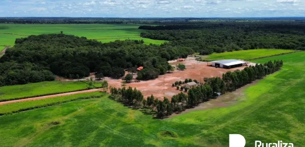 Fazenda / Sítio / Chácara à venda, 2100m² no , Pium