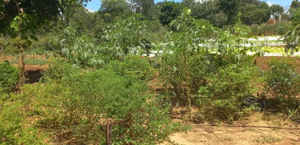 Terreno / Lote / Condomínio à venda, 500m² no Setor Lagoa Quente, Caldas Novas