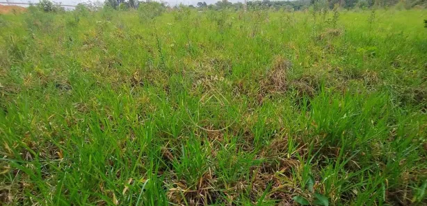 Terreno / Lote / Condomínio à venda, 1000m² no Dona Catarina, Mairinque