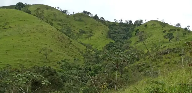 Fazenda / Sítio / Chácara à venda, 480000m² no Visconde de Mauá, Resende