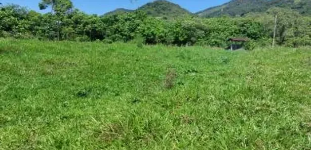 Fazenda / Sítio / Chácara com 3 Quartos à venda, 30000m² no Olaria, Nova Friburgo