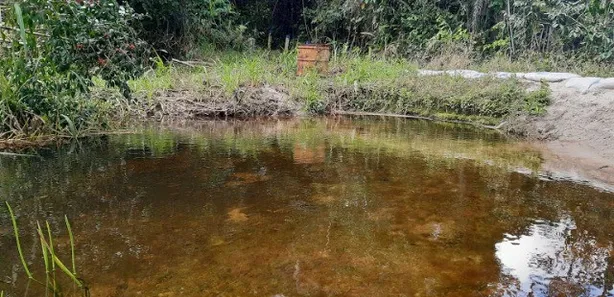 Fazenda / Sítio / Chácara com 2 Quartos à venda, 160000m² no Mata Redonda, Alhandra