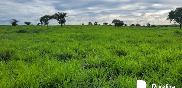 Fazenda / Sítio / Chácara à venda, 650m² no , Cristalândia